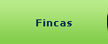Fincas